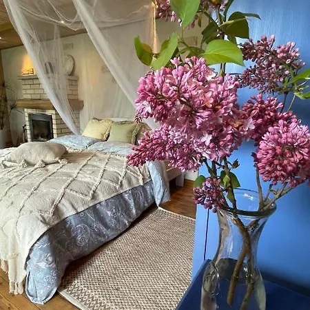 Guest house Cosy With Sauna And Outdoor Kitchen Kuressaare