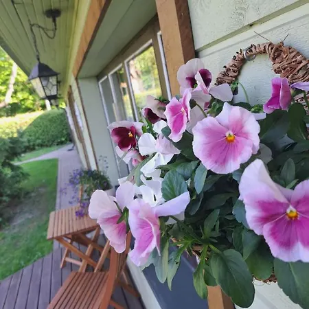 Cosy With Sauna And Outdoor Kitchen Gæstehus