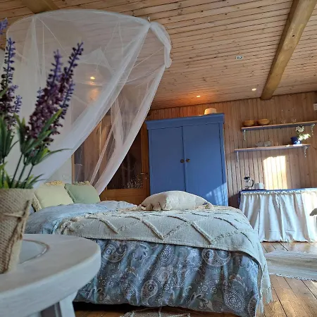 Cosy With Sauna And Outdoor Kitchen Gæstehus Kuressaare