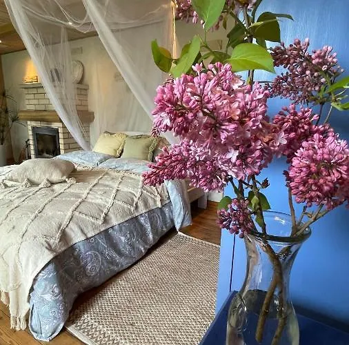 게스트하우스 Cosy With Sauna And Outdoor Kitchen 쿠레사아레