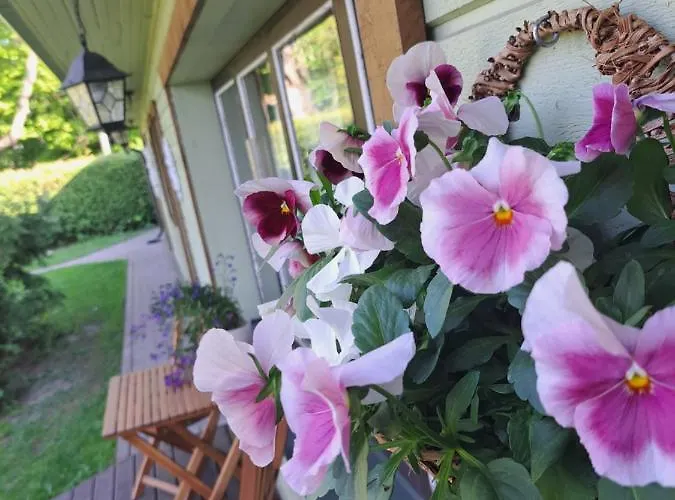 Cosy With Sauna And Outdoor Kitchen 게스트하우스