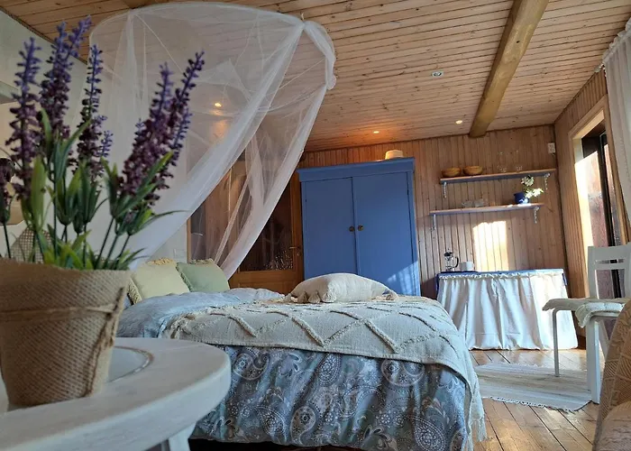 Cosy With Sauna And Outdoor Kitchen 게스트하우스 쿠레사아레