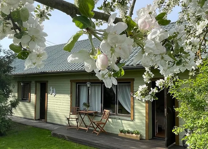 Cosy With Sauna And Outdoor Kitchen 게스트하우스 쿠레사아레