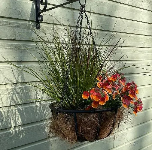 Cosy With Sauna And Outdoor Kitchen 4*