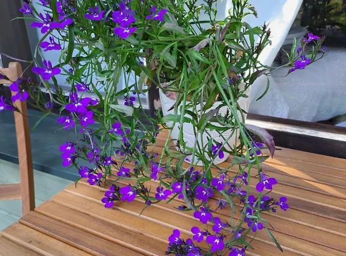 Cosy With Sauna And Outdoor Kitchen 게스트하우스 4*